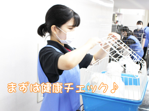 ２年生、子犬のお世話☆